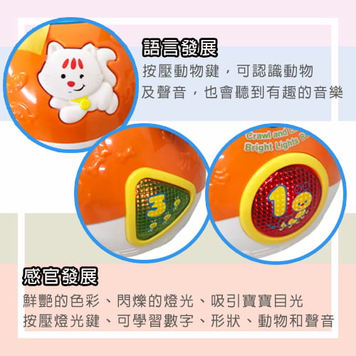 【Vtech】炫彩聲光滾滾球-租玩具 (6)-ZxJvl.jpg